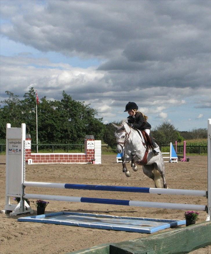 Welsh Pony (sec B) Korreborgs Ultimo (Min bedste ven) (SOLGT OG SAVNE - (3) Mig & ultimo over vandet i LA i Farsø :) taget af Korreborg billede 3