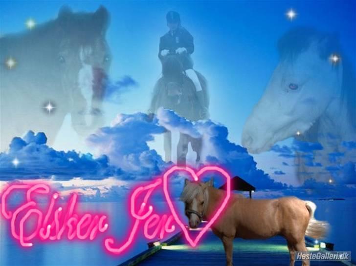 Anden særlig race Dunlet(har redet)<3<'3<3 billede 13