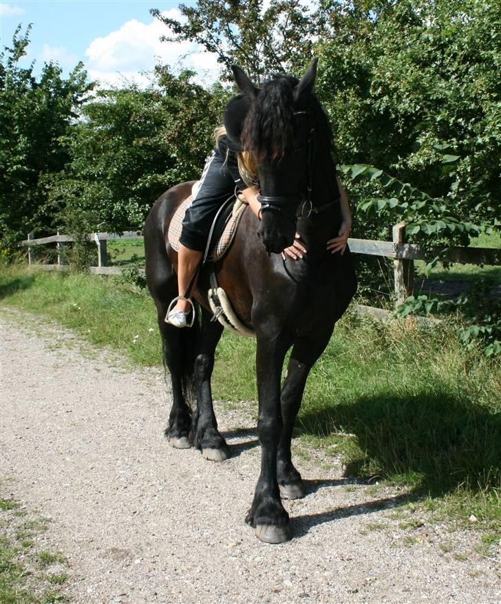 Frieser Sietse VD molenwijk - Krammer ;D billede 15