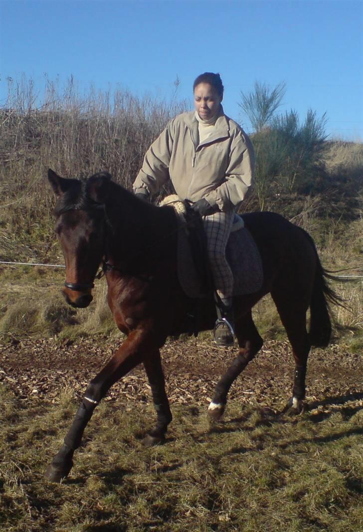 Anden særlig race Trinity billede 16