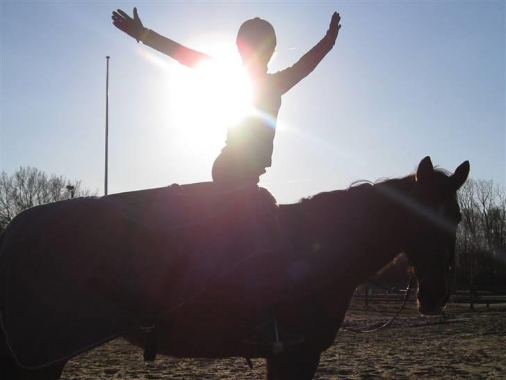 Dansk Varmblod Cleopatra (solgt) - Farvel. [: <3 Foto: Anne d. 11. marts 09 billede 20