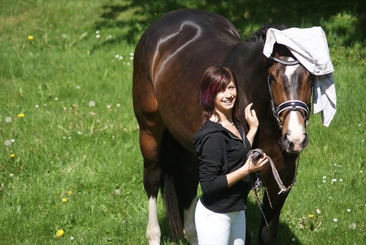 Hollandsk Varmblod Budweiser - SOLGT :'( - Fotosession ude i haven d. 23 maj 2010 (: Man kan bare gøre alt ved ham! (: billede 17