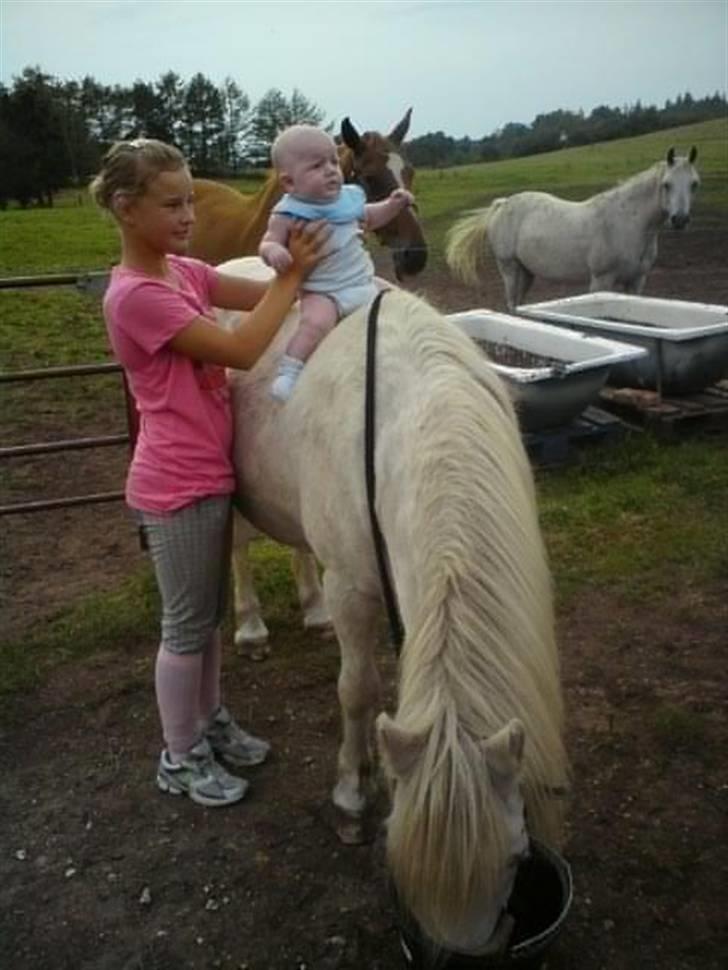 Anden særlig race Emil - R.I.P marts 2011 - Emil med Victor  billede 19