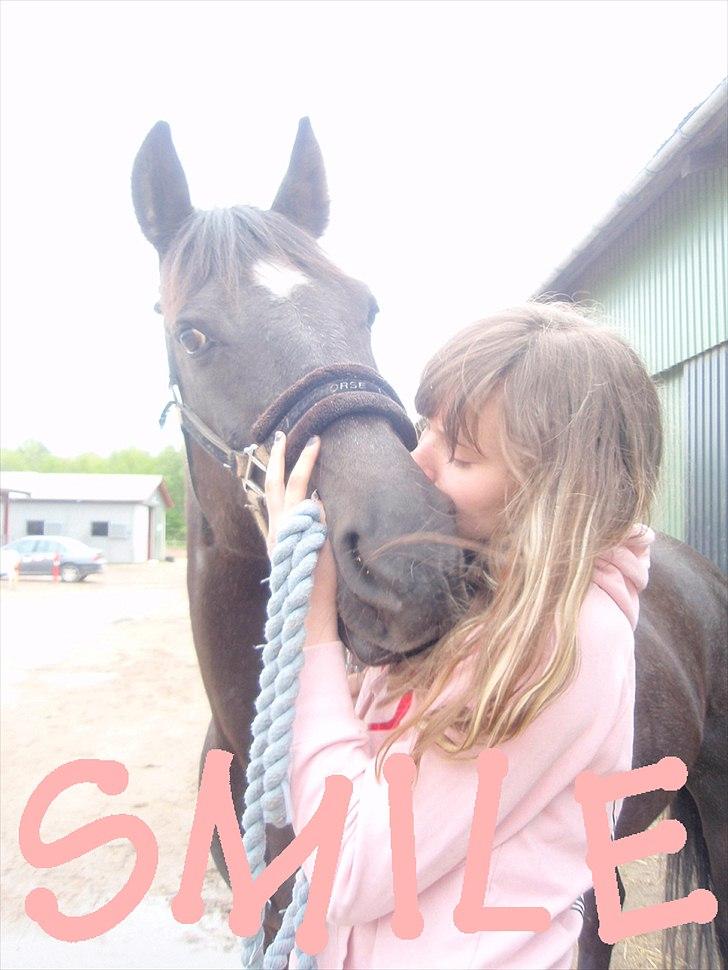 Anden særlig race Stella <33 R.I.P billede 1