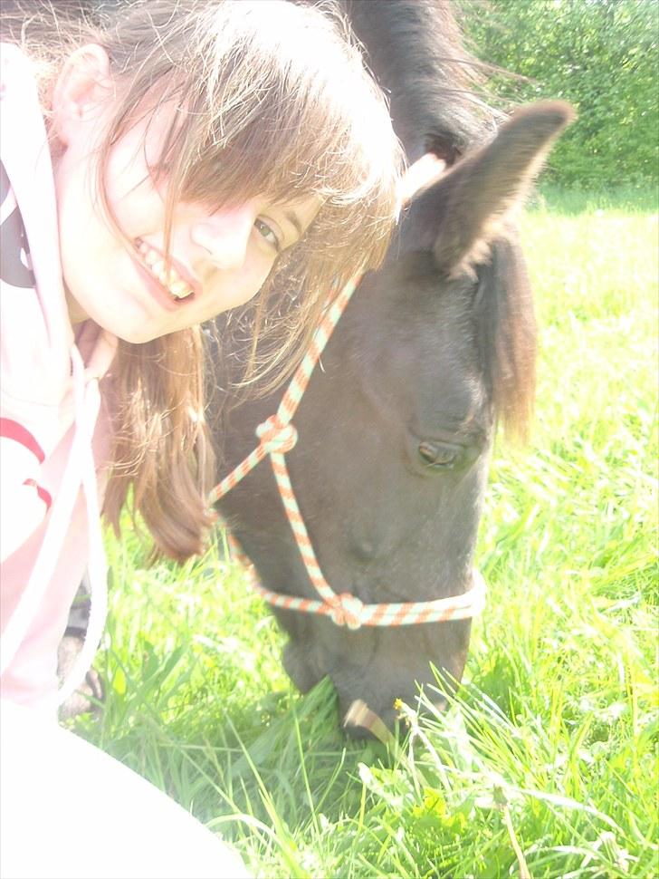 Anden særlig race Stella <33 R.I.P billede 2