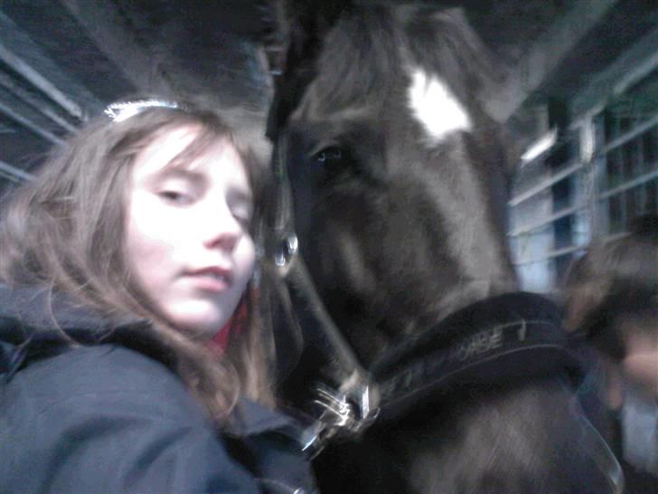 Anden særlig race Stella <33 R.I.P billede 4