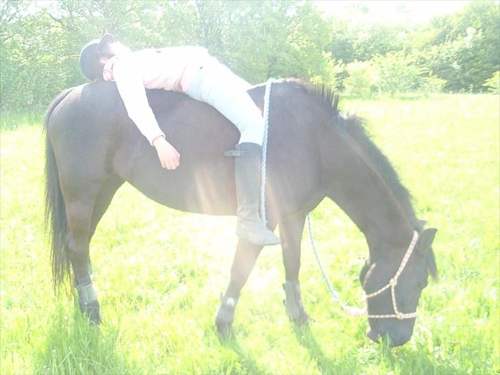 Anden særlig race Stella <33 R.I.P billede 7