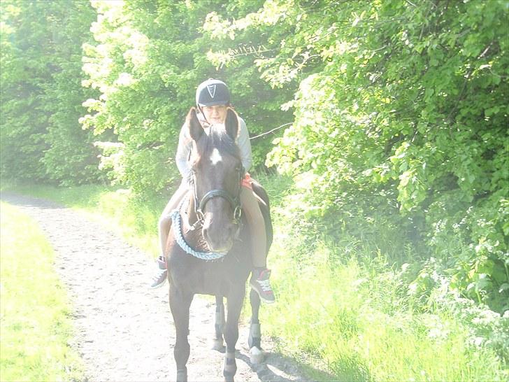 Anden særlig race Stella <33 R.I.P billede 8