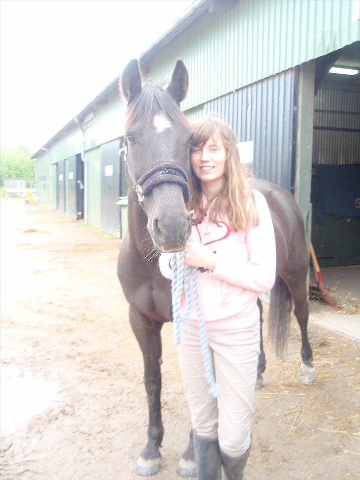 Anden særlig race Stella <33 R.I.P billede 9