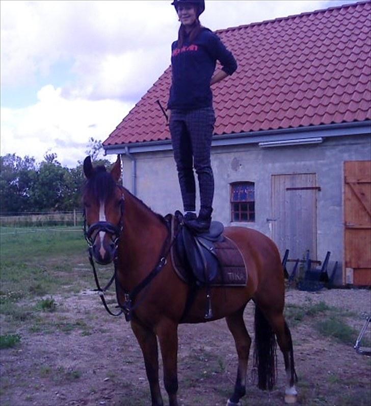 Anden særlig race Clements Mini (L) solgt  - 13# det eneste tidspunkt hvor jeg er virkelig glad og føler mig fri, er med dig min bedste ven<3 billede 9