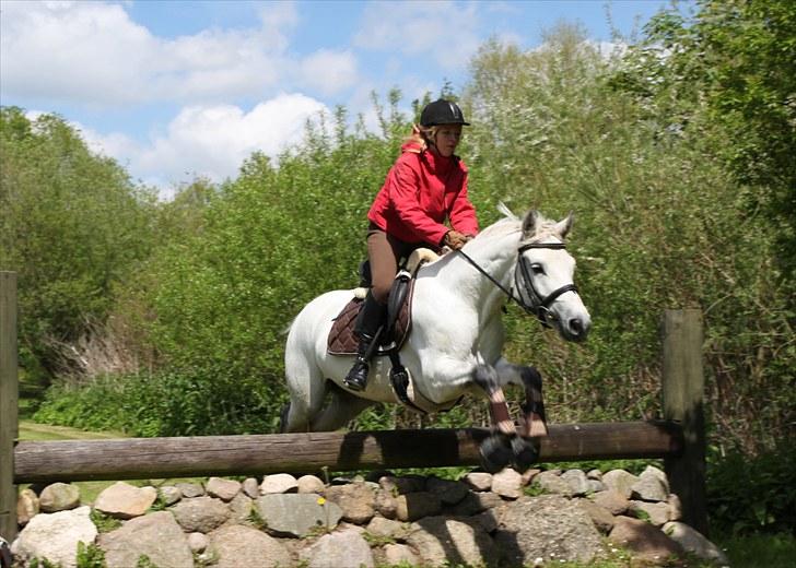 Connemara Delight Aurora - 27-05-2010  billede 1
