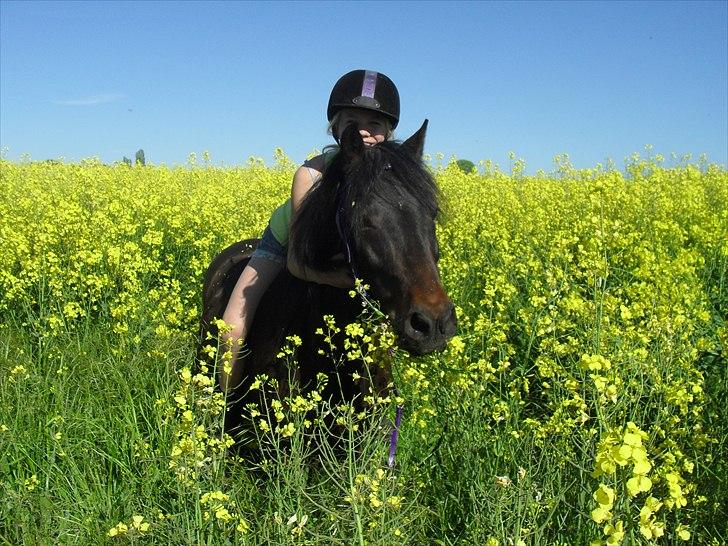 Anden særlig race Viktor (solgt) ;( billede 10