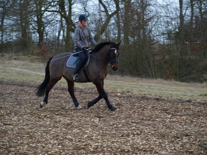 Oldenborg Rambo - Den 13.3.2009 billede 13