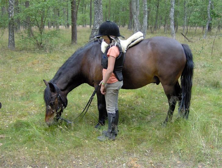 Anden særlig race Viktor (solgt) ;( - En lille pause i skoven;-)lidt græs er altid godt! billede 11