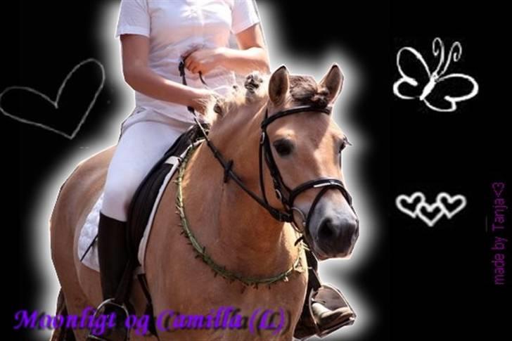 Anden særlig race Moonlight<3 - made by: Tanja xD.. billede 11