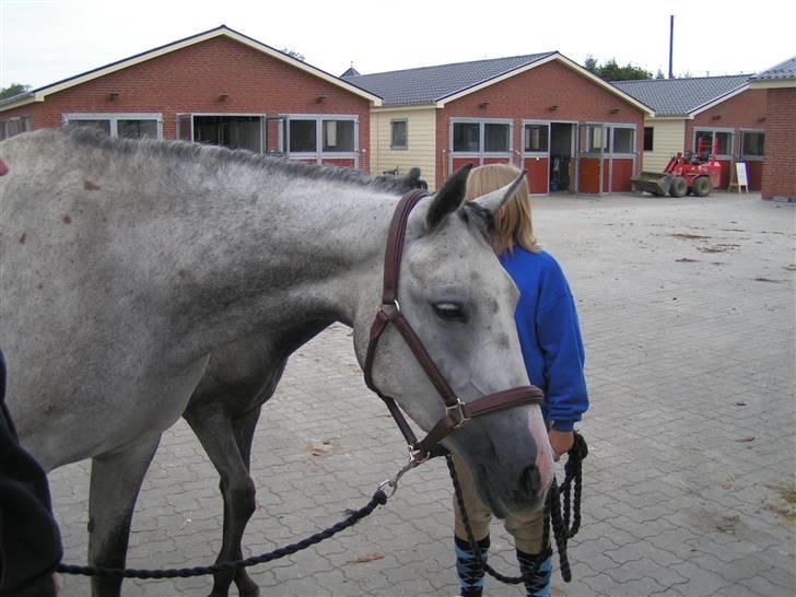 Sportsaraber (A) Attika billede 1