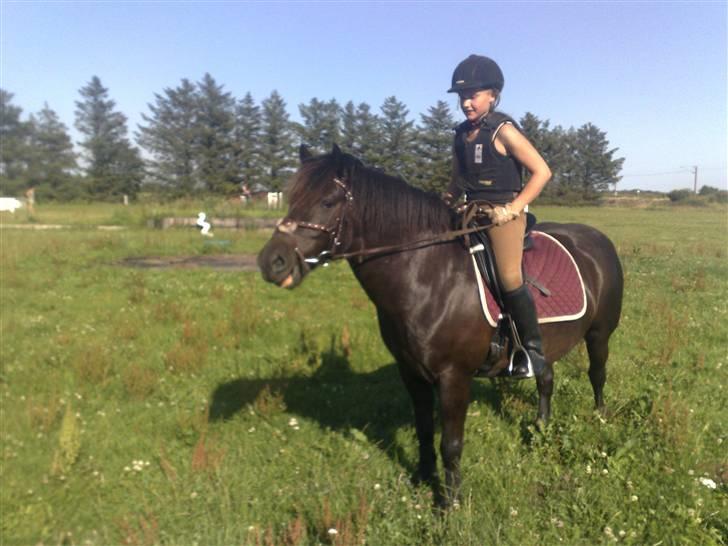 Anden særlig race Blacky (solgt) billede 14