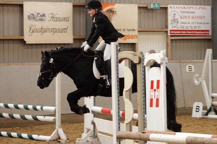 Anden særlig race Blacky (solgt) billede 16