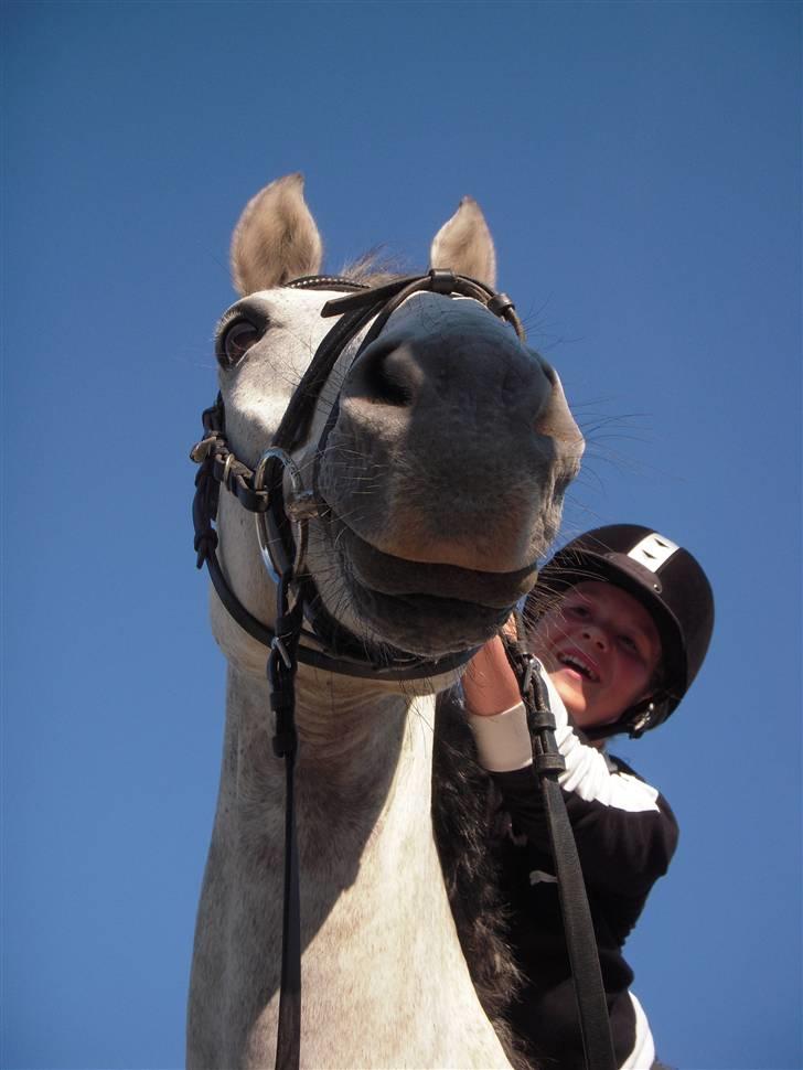 Anden særlig race Skipper Mønstergård. *A-Pony* - Dem der siger at penge ikke gør lykkelig, har ikke ejet en hest! <3
jeg elsker dig pony! billede 16