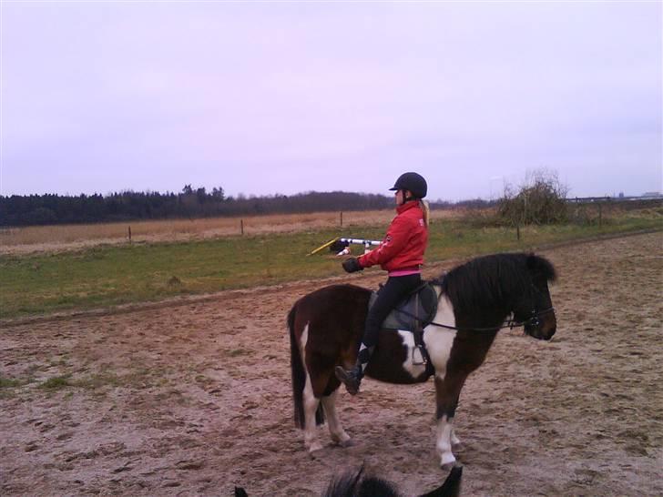 Pinto Next Milton - hov ups der var ikke noget hoved billede 9