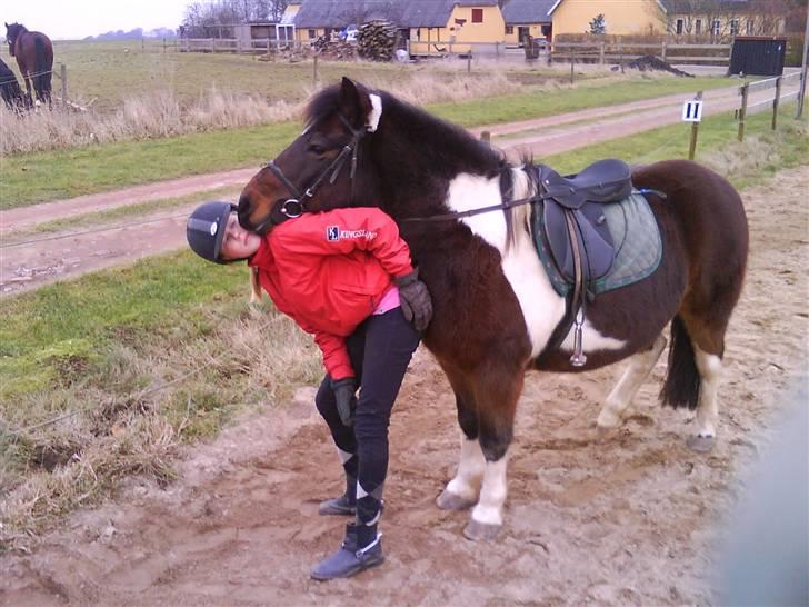 Pinto Next Milton - årgh vi elsker bare os hihi billede 12