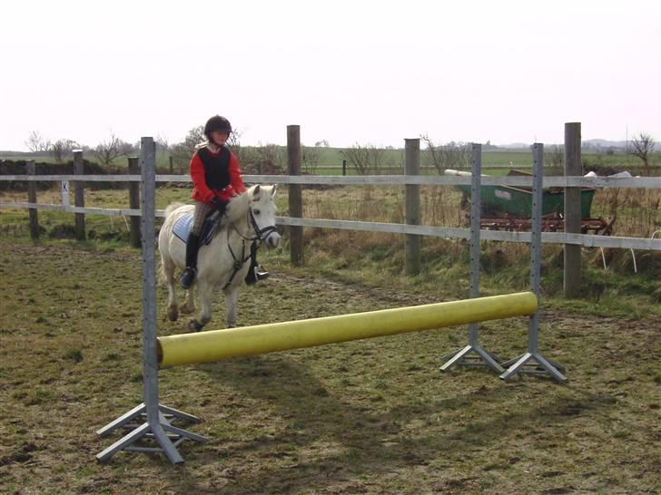 Welsh Mountain (sec A) Backersdals Senator - Mig og Sofus på vej over til springet (70 cm høj og 60 cm bred) men han springer meget over det billede 9