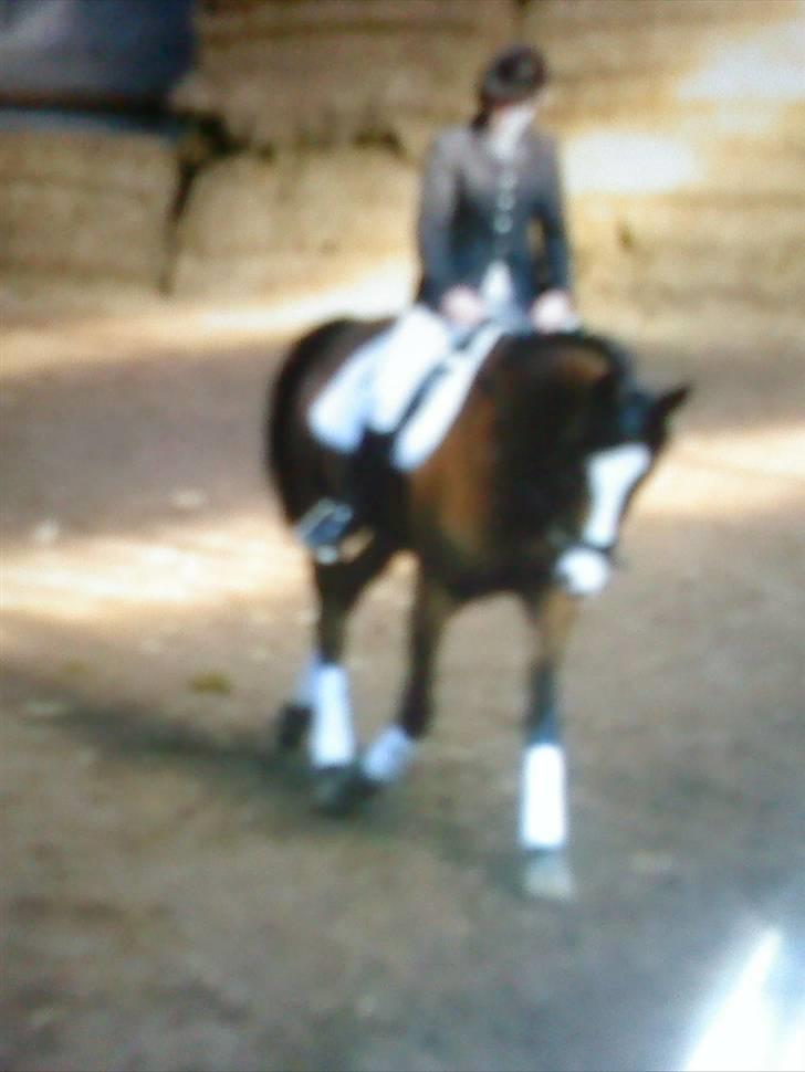 DSP Godsets Fanny (solgt) billede 12