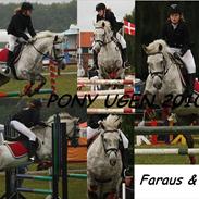 Anden særlig race Faraus The Best