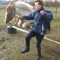 Anden særlig race Laban