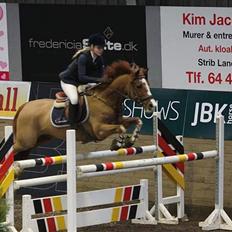 Hollandsk Sportspony | Remy