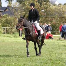 Traver Fame <3 Solgt.