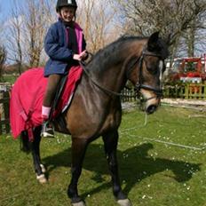 Anden særlig race Cassiopeia *Solgt*