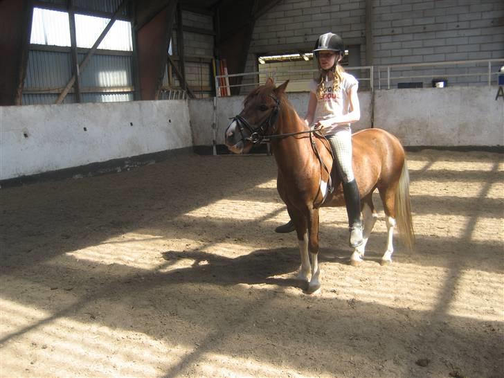 Anden særlig race Lucky - Love you !! <33 (Frække!!) xD FOTO: Anne Sofie billede 12