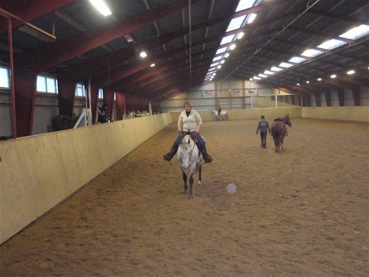 Anden særlig race Casey billede 16