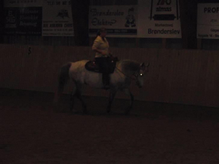 Anden særlig race Casey billede 20