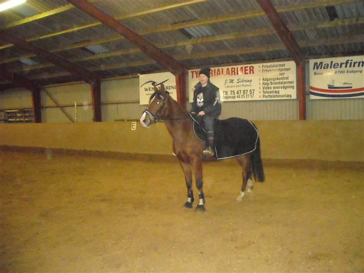 Anden særlig race Freeman <3 billede 18