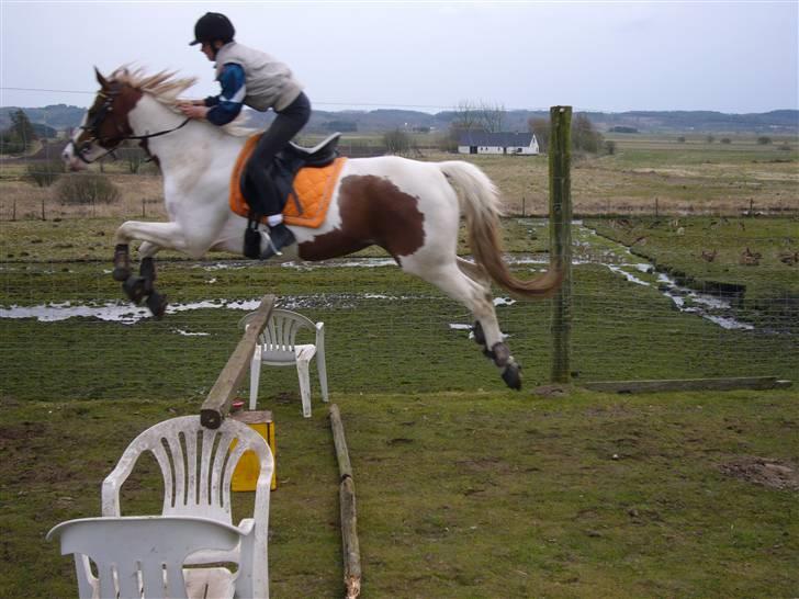 Pinto Gantrup Tinka.  - spring for 3 gang - 110 cm<3 billede 18