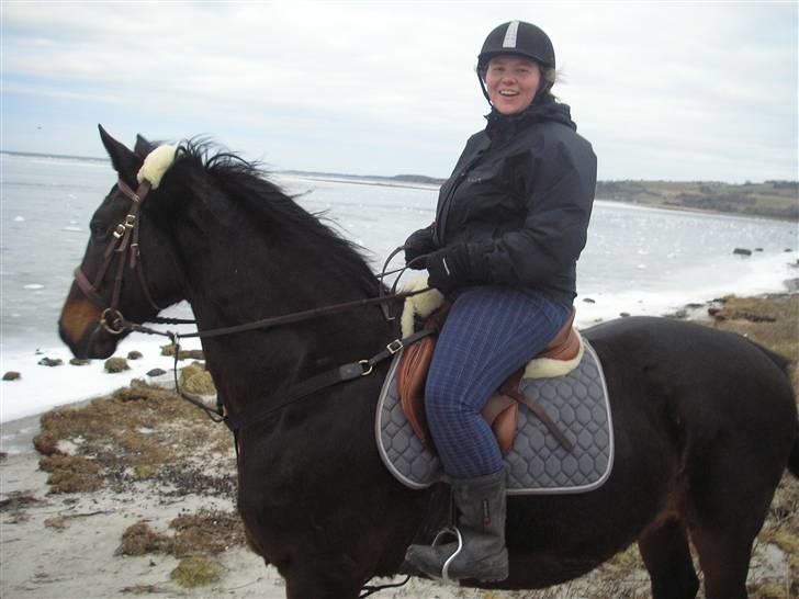 Dansk Varmblod Raimona aka Mule billede 11