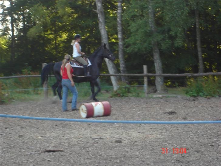 Oldenborg MAX  SOLGT - undervisning med Joy billede 9