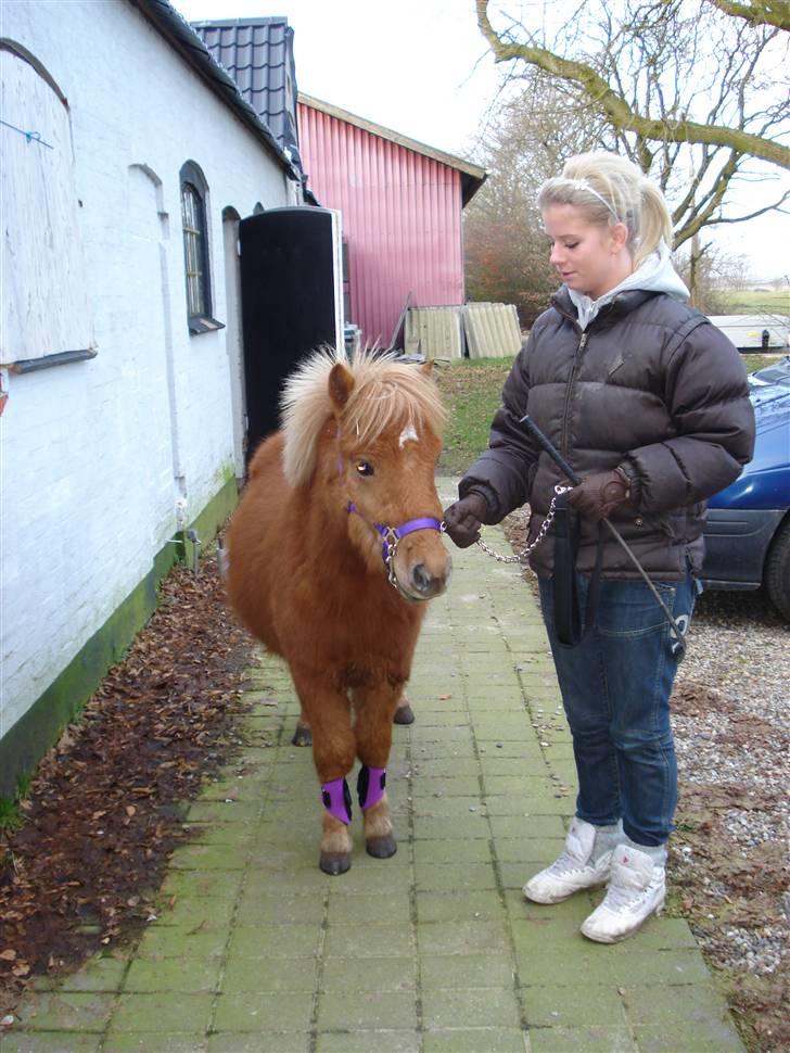 Anden særlig race Hubert *RIP* - Hubert med hans nye grime & hans første gamacher <3 billede 12