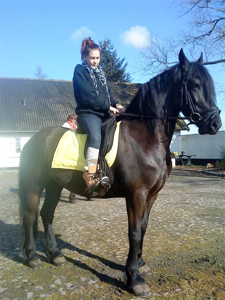 Frieser Quiny *Min baby kommer hjem igen <3 * billede 14