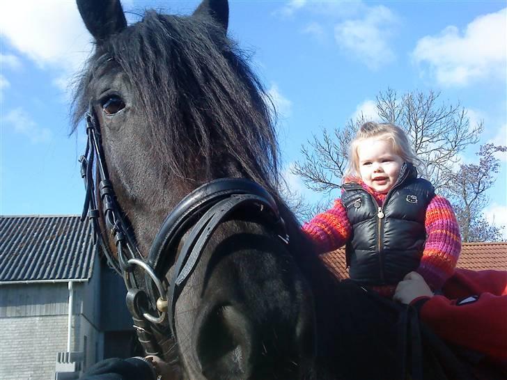 Frieser Quiny *Min baby kommer hjem igen <3 * - Min yngste datter Victoria ELSKER Quiny :o) billede 15