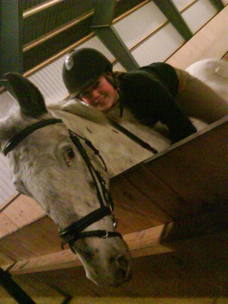 Knabstrupper Diogenes R.I.P :'( - <3<3<3<3<3<3<3<3<3<3 billede 11