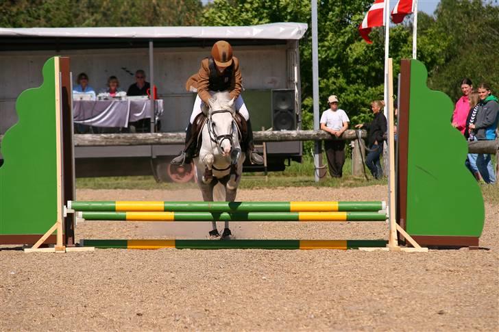 Welsh Pony (sec B) | windy  - det er mig og windy i fuld fart hen over springet.. billede 6