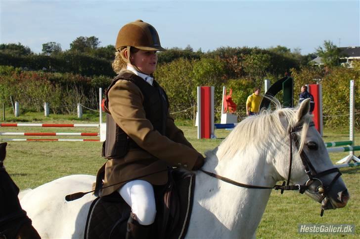 Welsh Pony (sec B) | windy  - ranum.. billede 11