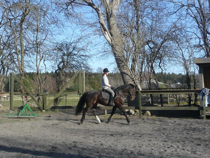 Anden særlig race Matilde *SOLGT* - Billed: 14 billede 14