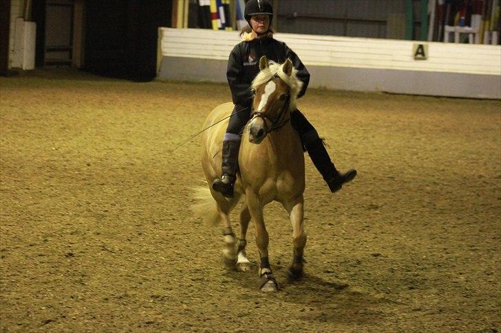 Haflinger Adima - Prinsessen - (5) Prinsessen og jeg på vores 2 års dag :´) Foto: Line billede 5