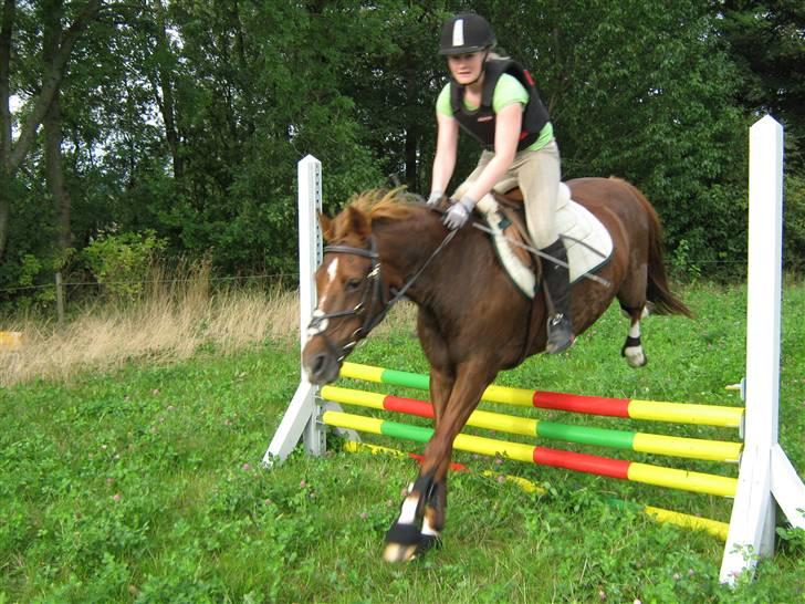 Anden særlig race Little Girl      R.I.P billede 2