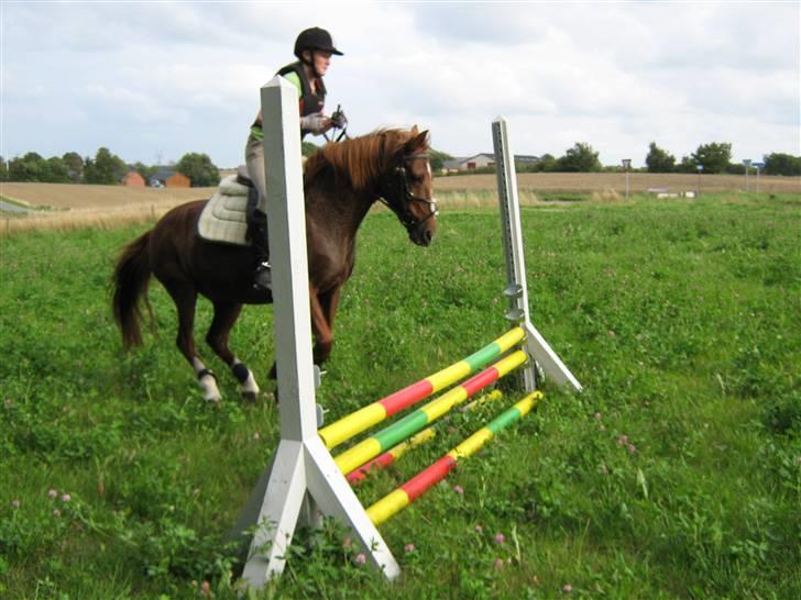 Anden særlig race Little Girl      R.I.P billede 3
