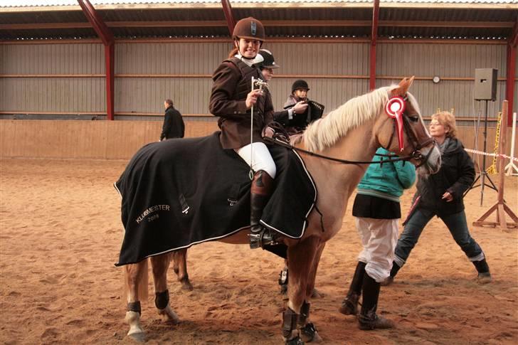 Haflinger Adima - Prinsessen - (12) Præmie overakelse til Klubmester skabet hvor vi vandt Foto: Carlotte billede 12